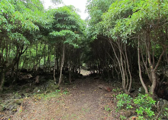 乡村民宿 Housesinpico